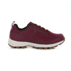 Regatta Dames/dames Samaris Life Wandelschoenen (Wild Plum/Zwart) 10 Regatta Dames/dames Samaris Life Wandelschoenen (Wild Plum/Zwart) -Dames Schoenenwinkel damesdames samaris life wandelschoenen wild plumzwart 3